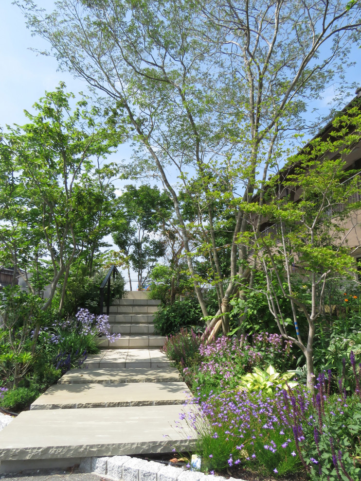 Идея дизайна: летний участок и сад среднего размера в стиле модернизм с дорожками и покрытием из каменной брусчатки