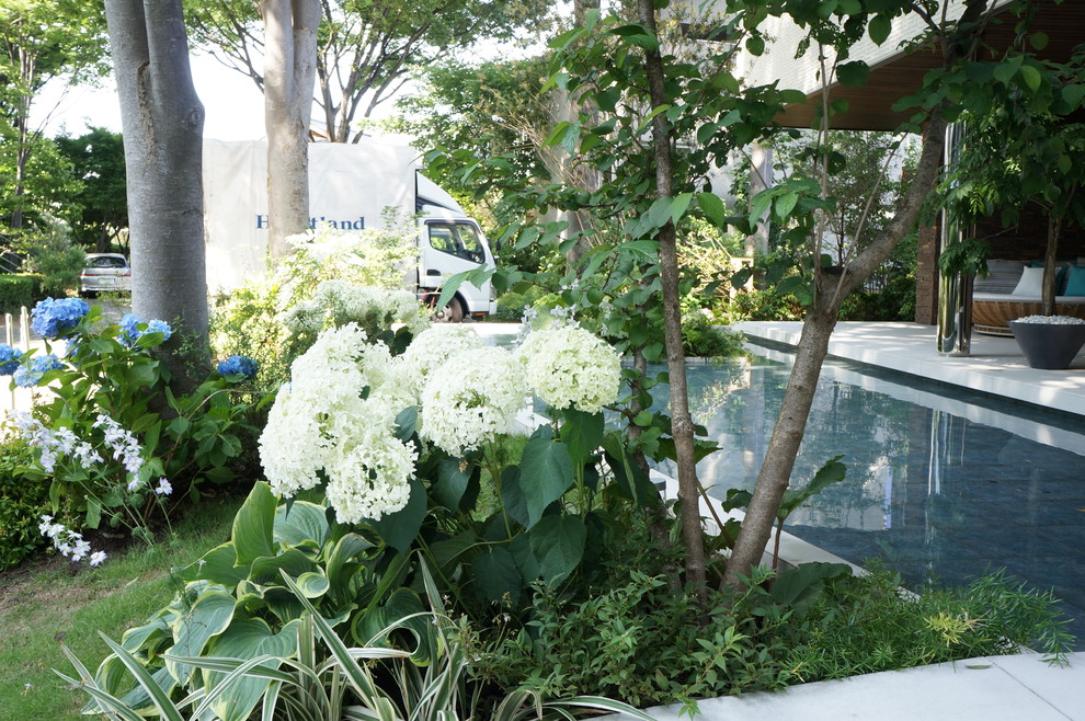 東京23区にあるモダンスタイルのおしゃれな庭の写真