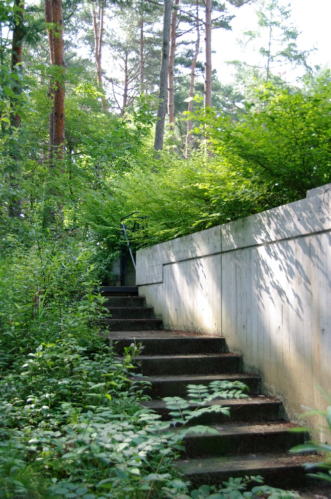 Foto di un campo sportivo esterno nordico esposto a mezz'ombra in primavera con pavimentazioni in cemento, un muro di contenimento e un pendio, una collina o una riva