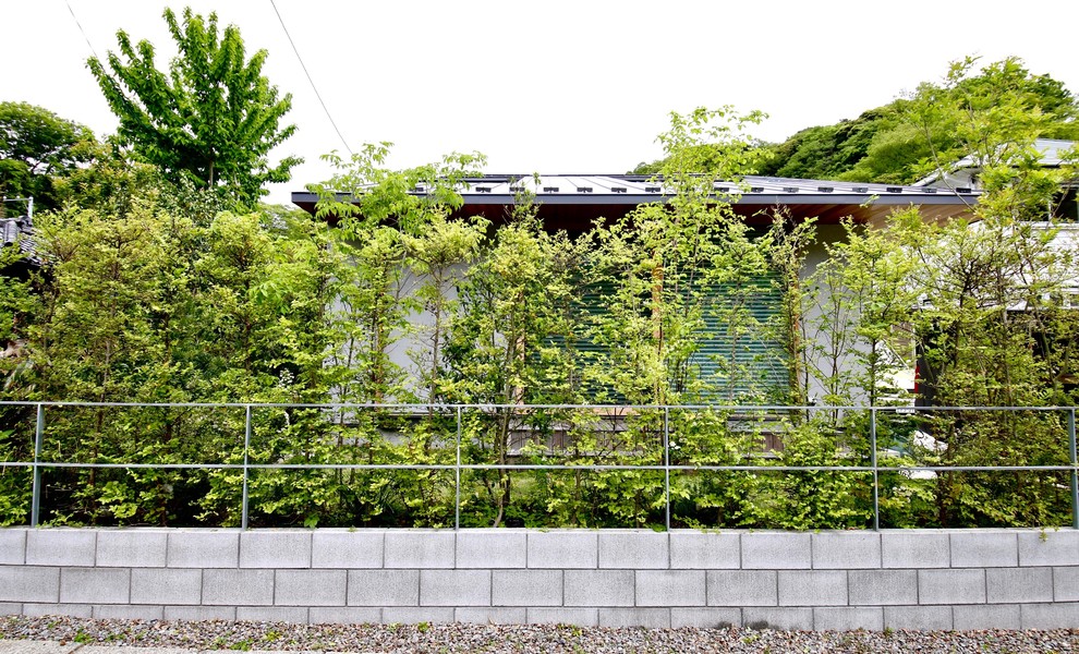 Inspiration for a world-inspired garden in Yokohama.