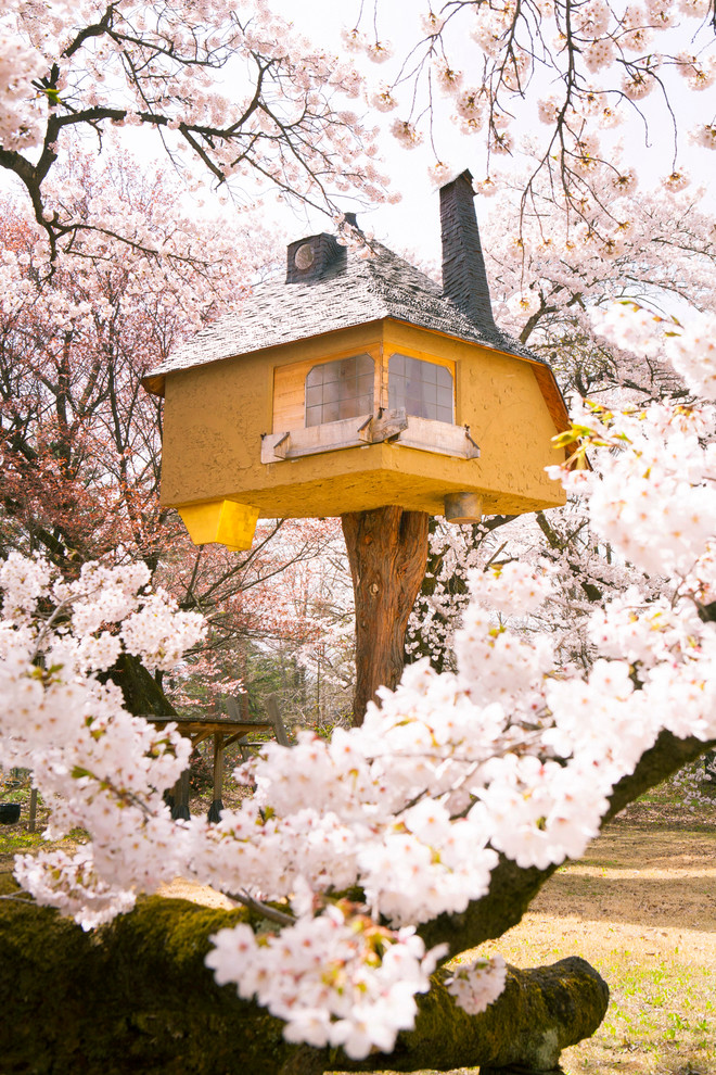 Eklektischer Japanischer Garten im Frühling mit direkter Sonneneinstrahlung in Tokio Peripherie