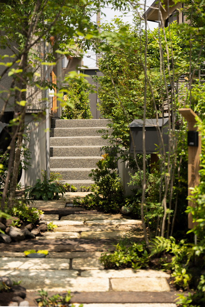 Foto di un vialetto minimalista esposto in pieno sole di medie dimensioni e davanti casa in primavera con pavimentazioni in pietra naturale