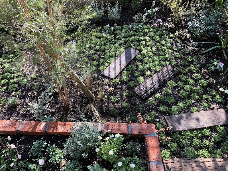 Cette image montre un petit jardin arrière minimaliste l'hiver avec une exposition ensoleillée et une terrasse en bois.