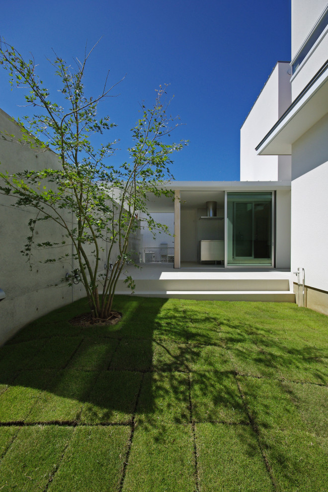 Immagine di un bordo prato minimalista esposto a mezz'ombra in cortile