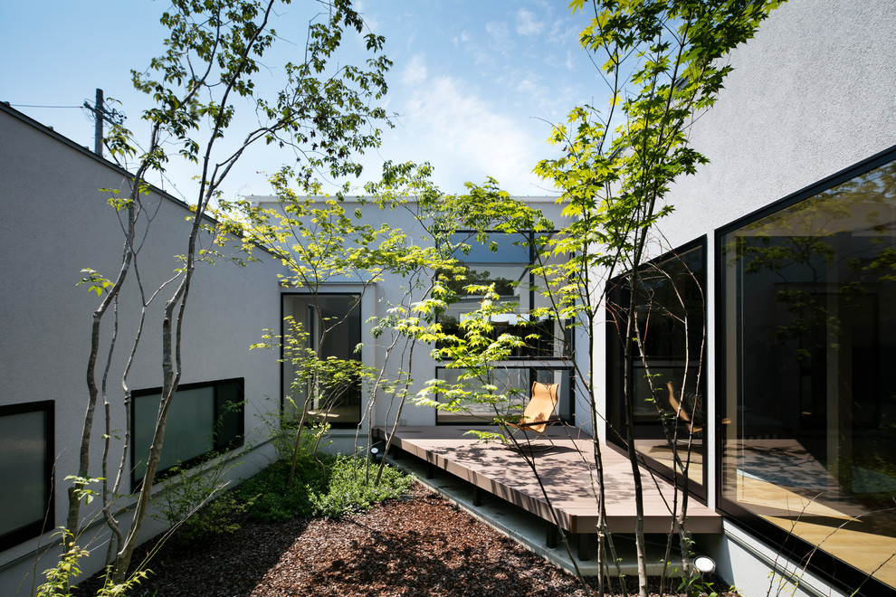 Immagine di un giardino formale design esposto a mezz'ombra in cortile