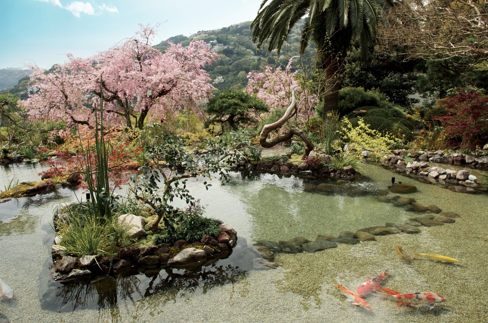 東京23区にあるトラディショナルスタイルのおしゃれな庭の写真