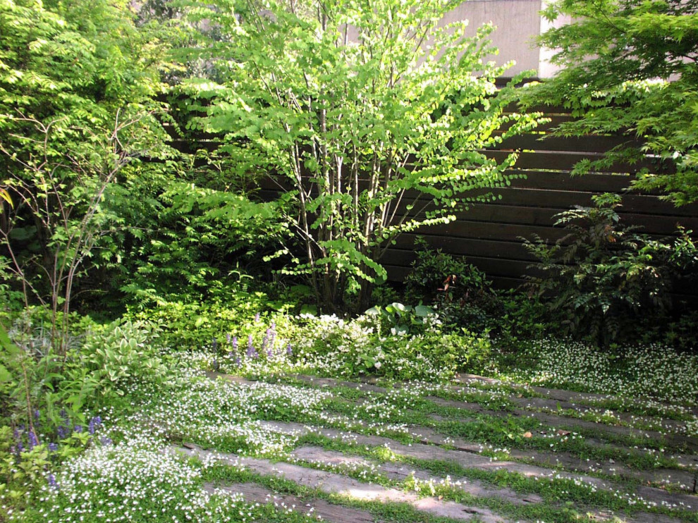 Esempio di un giardino esposto a mezz'ombra di medie dimensioni e davanti casa in primavera con recinzione in legno