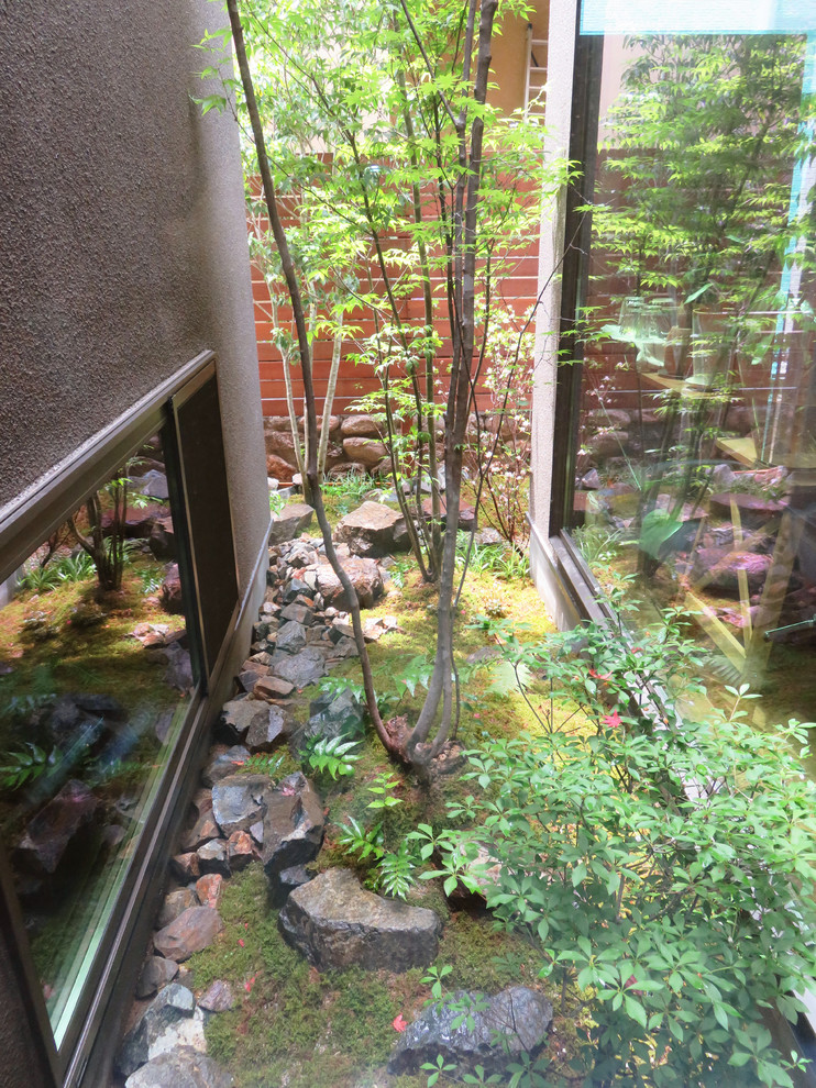 Kleiner, Halbschattiger Asiatischer Garten im Innenhof in Sonstige