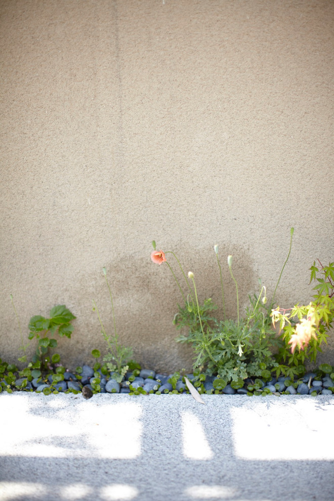 Immagine di un giardino etnico esposto in pieno sole davanti casa in primavera con pavimentazioni in pietra naturale