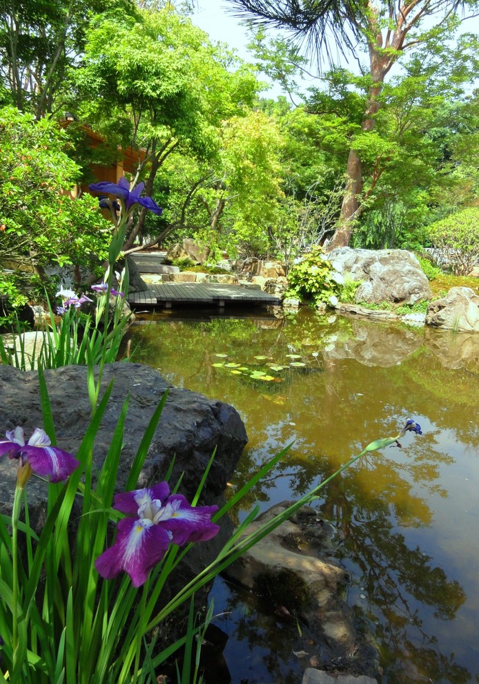 На фото: огромный солнечный сад с прудом в восточном стиле с хорошей освещенностью и покрытием из каменной брусчатки