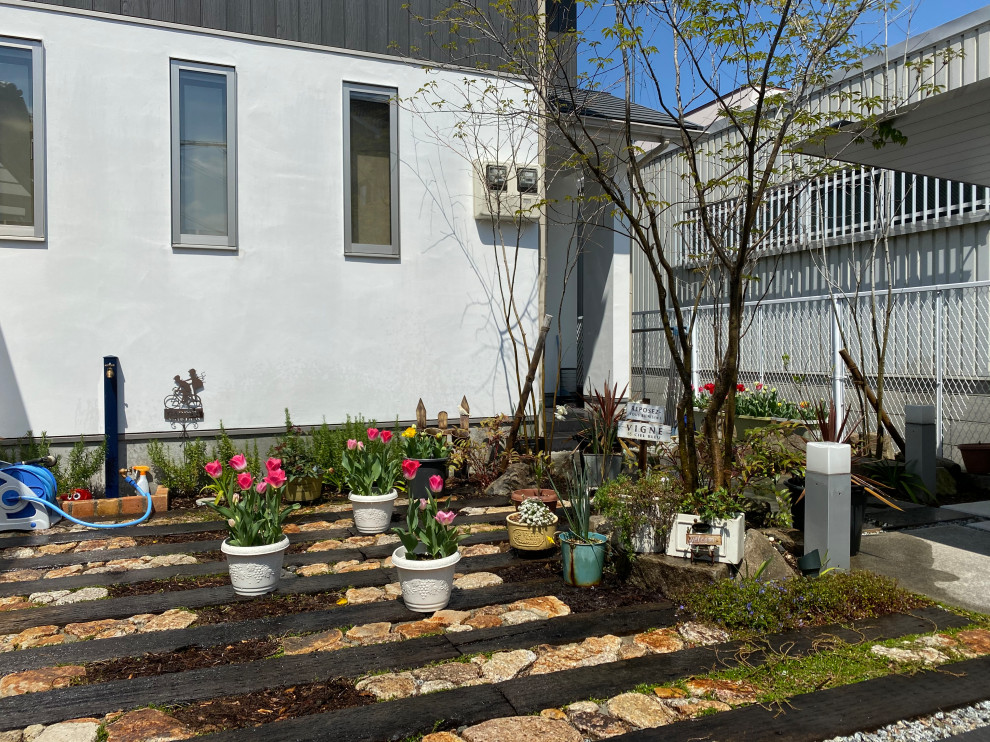 Immagine di un giardino etnico esposto in pieno sole in primavera