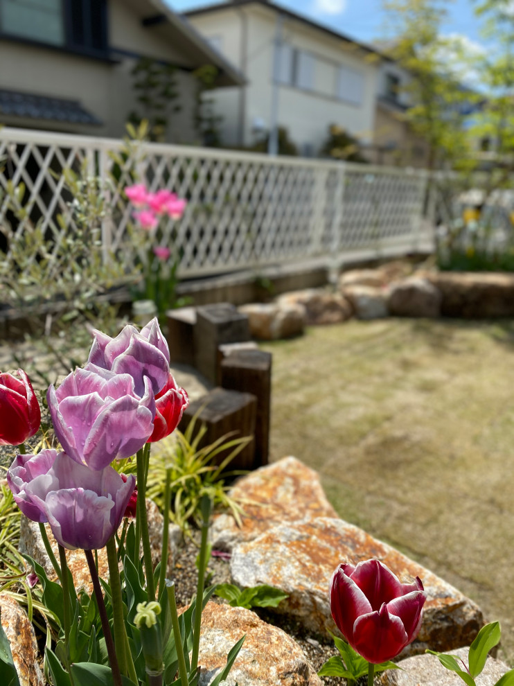 他の地域にある中くらいな、春のアジアンスタイルのおしゃれな前庭 (日向) の写真