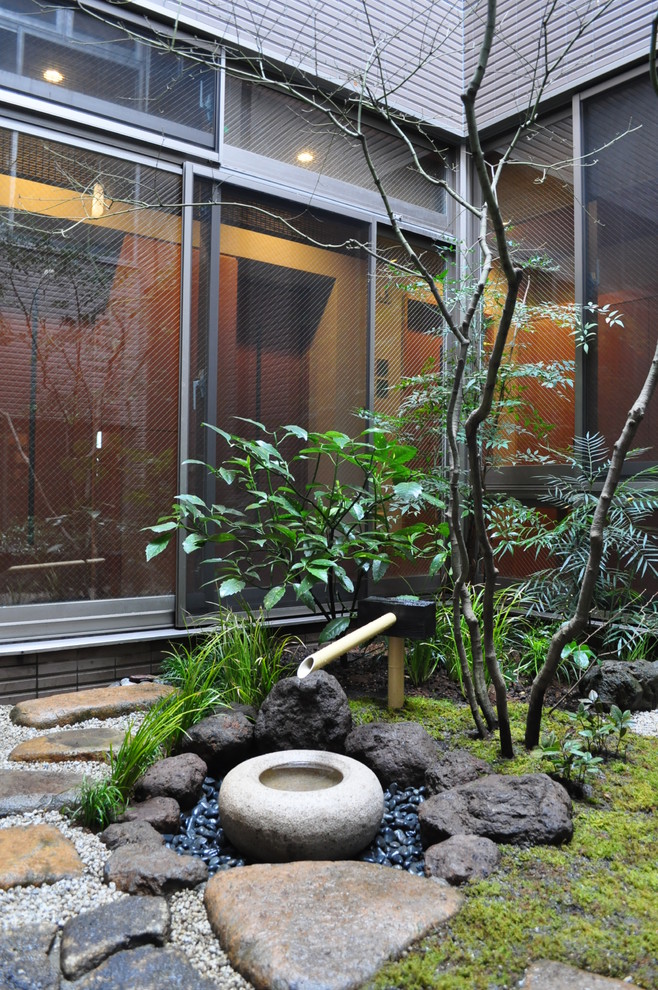 東京23区にある小さな、冬のアジアンスタイルのおしゃれな庭 (日陰) の写真
