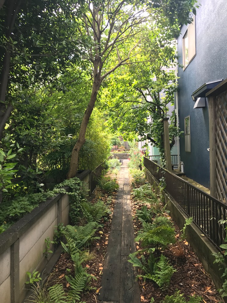 東京都下にあるミッドセンチュリースタイルのおしゃれな庭 (半日向) の写真