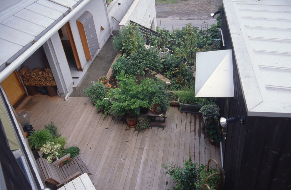Cette photo montre un jardin moderne.