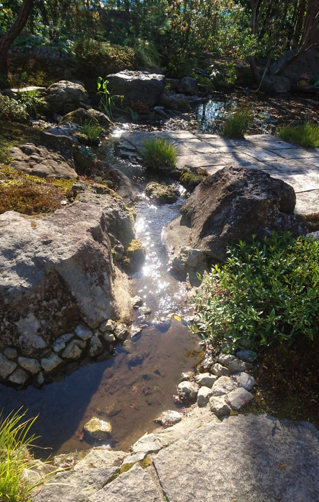 Immagine di un grande giardino chic esposto in pieno sole in cortile in primavera con una cascata e pavimentazioni in pietra naturale