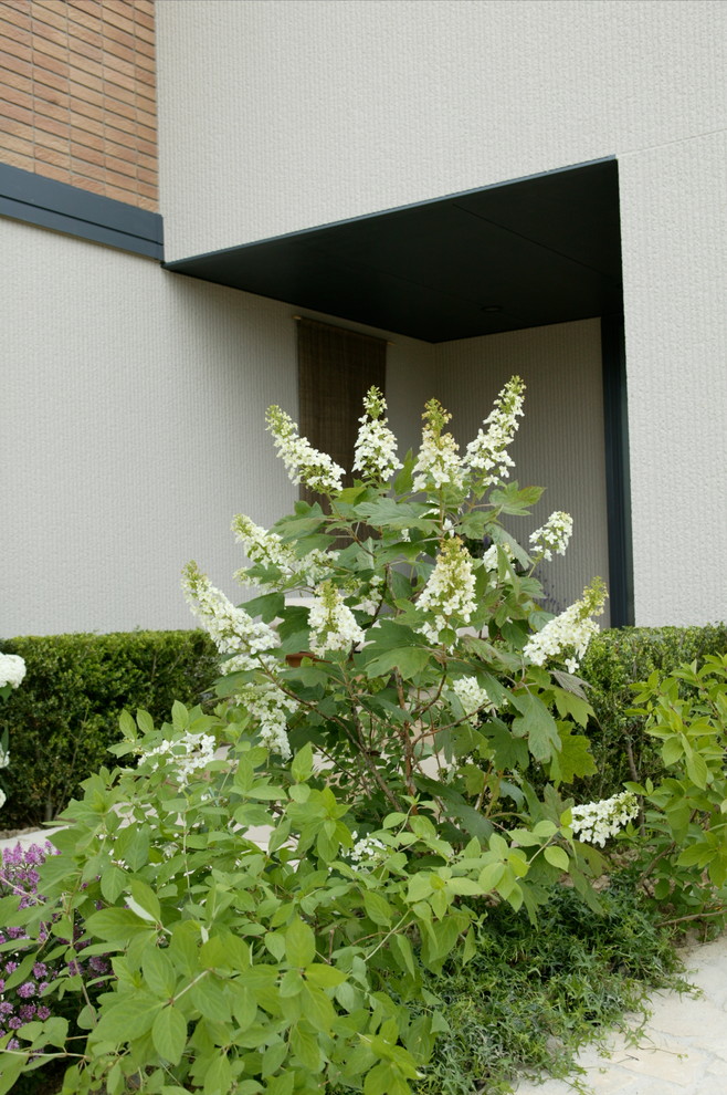 東京23区にある地中海スタイルのおしゃれな庭の写真