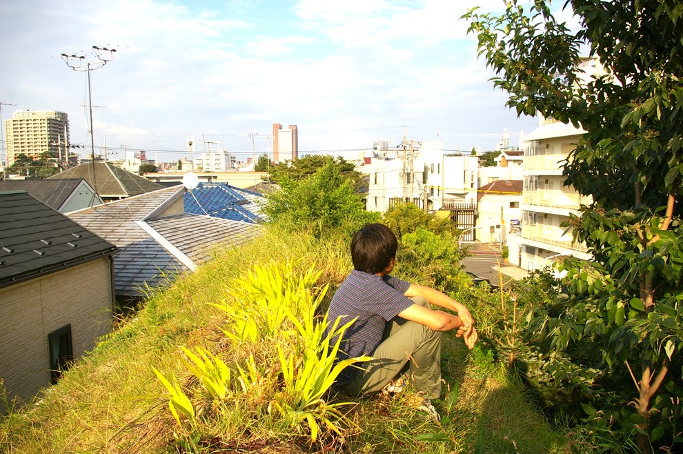 東京23区にあるトロピカルスタイルのおしゃれな庭の写真