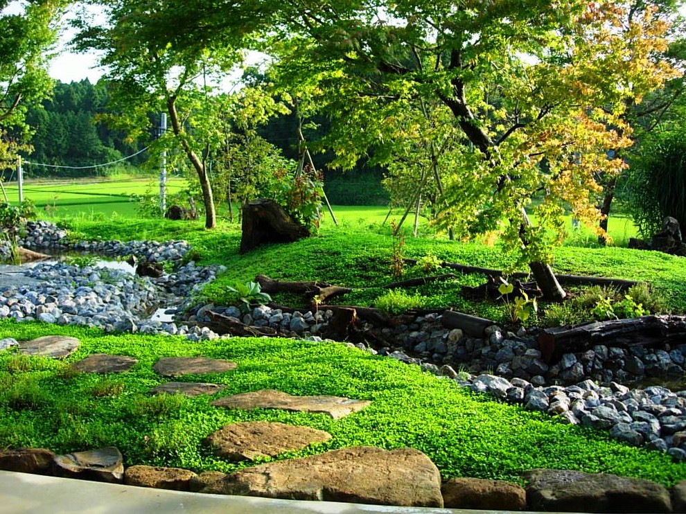 Foto de jardín campestre grande con estanque, exposición total al sol y adoquines de piedra natural