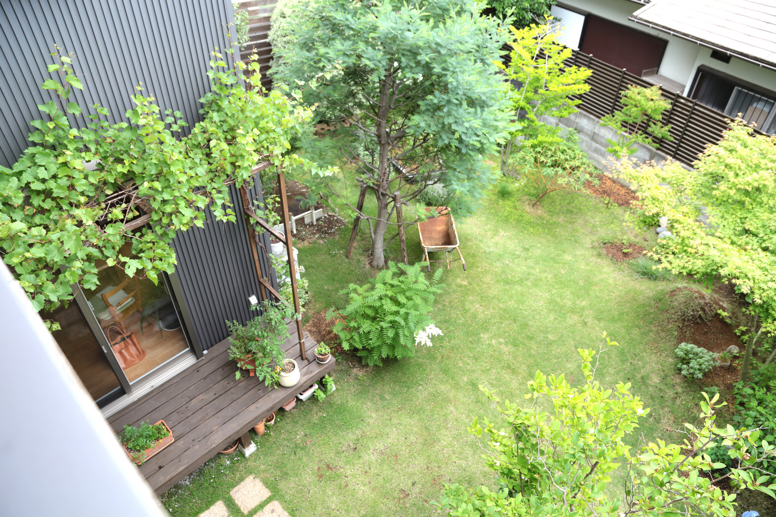 おしゃれな庭 - 芝生の庭、横庭の画像 75選 - 2025年4月 | Houzz おしゃれな庭 - 芝生の庭、横庭の画像 75選 - 2025年4月 | Houzz