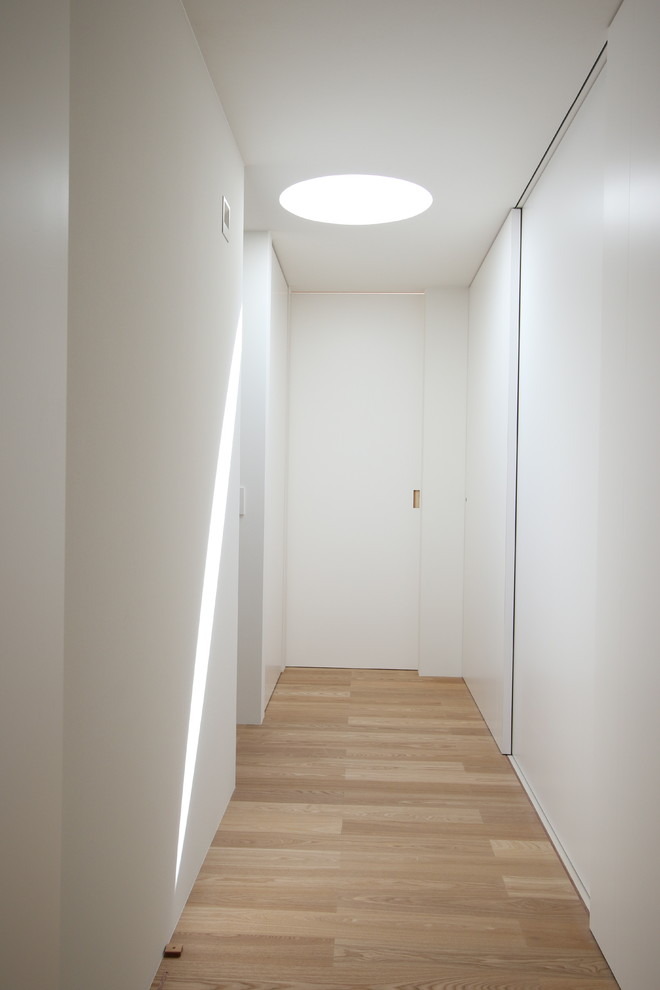 Hallway - modern hallway idea in Other