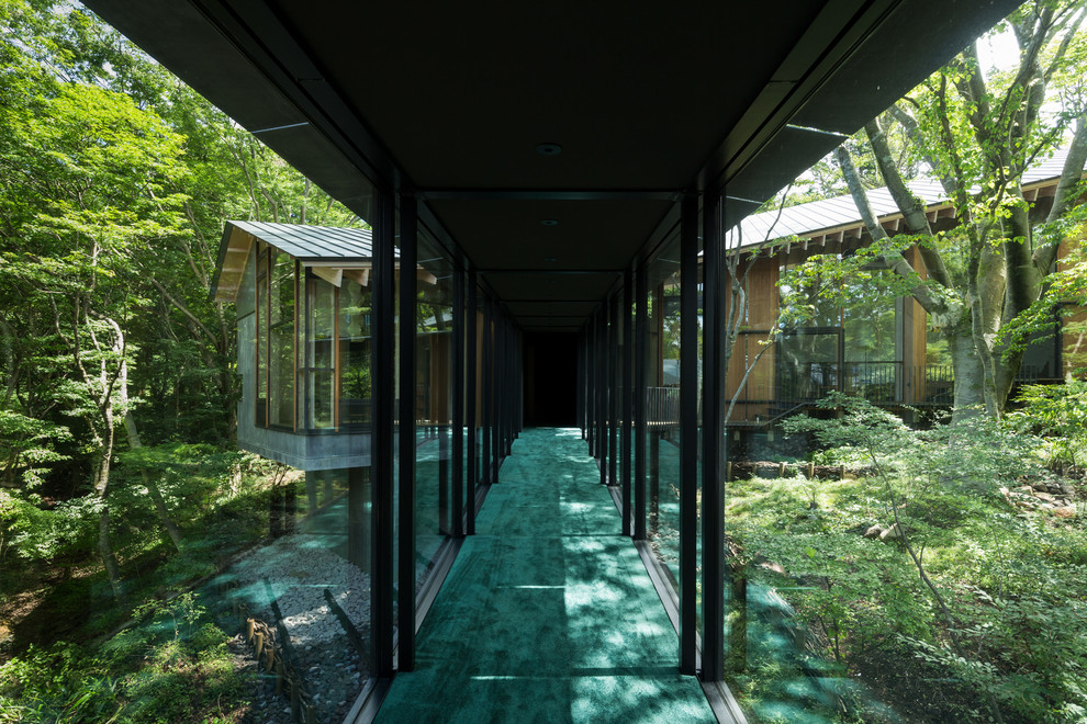 На фото: большой коридор в современном стиле с черными стенами, ковровым покрытием и зеленым полом с