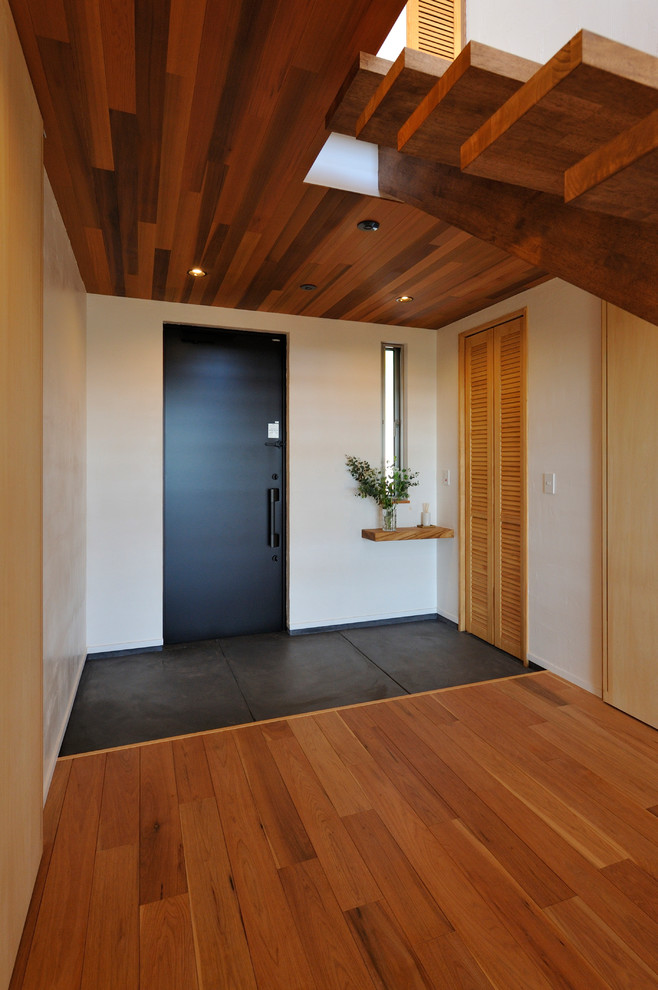 Inspiration for a contemporary entryway remodel in Other