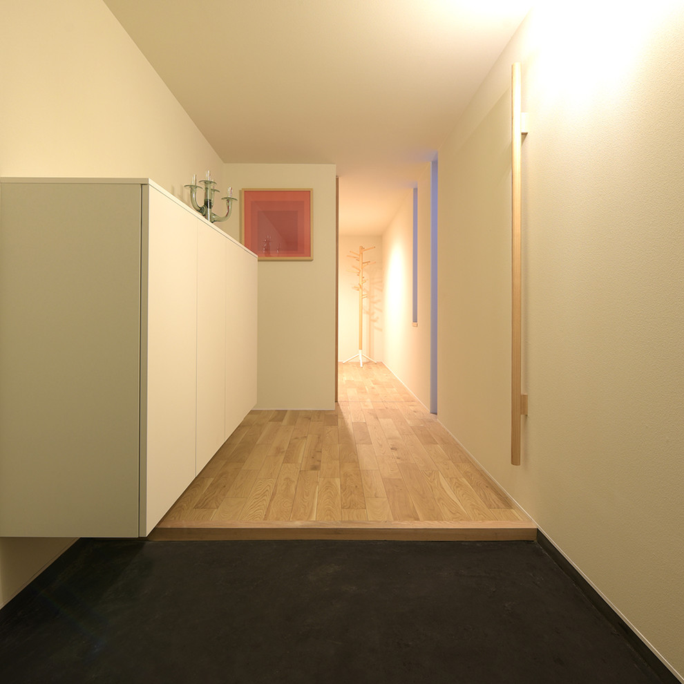 Esempio di un piccolo corridoio minimalista con pareti bianche, parquet chiaro, una porta scorrevole e una porta in metallo