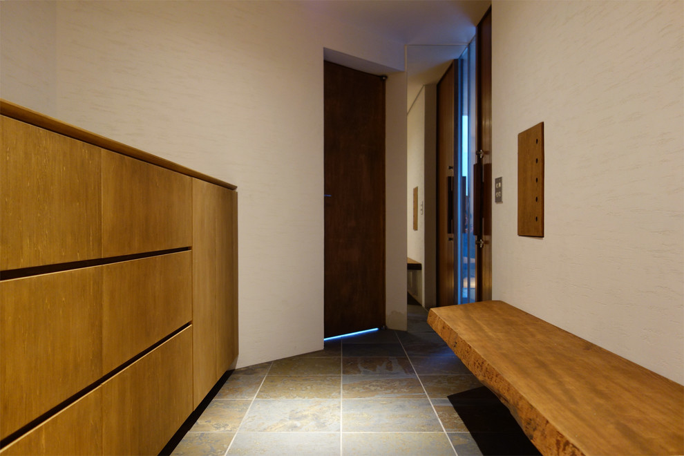Cette image montre un vestibule minimaliste avec un mur blanc, un sol en ardoise, une porte pivot et une porte en bois foncé.