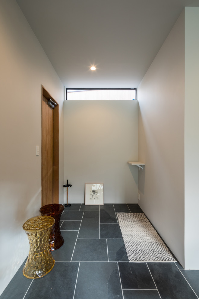 Photo of a contemporary hallway in Other with brown walls, a single front door, a medium wood front door and black floors.