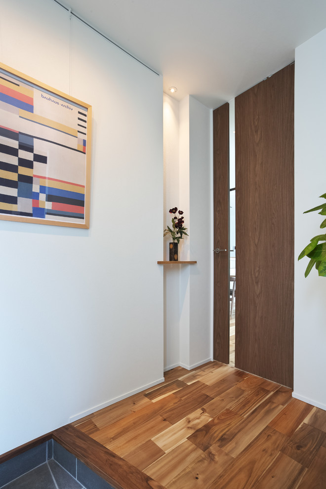 Стильный дизайн: узкая прихожая в стиле модернизм с белыми стенами, паркетным полом среднего тона, одностворчатой входной дверью, входной дверью из дерева среднего тона и коричневым полом - последний тренд