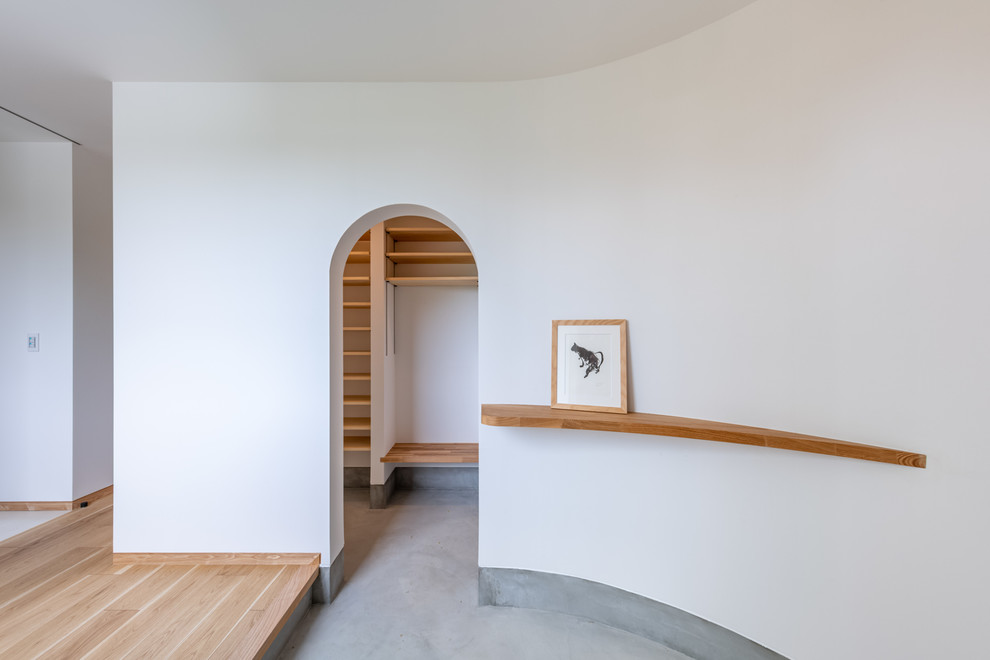 Inspiration för en mellanstor minimalistisk hall, med vita väggar, plywoodgolv, en enkeldörr, mellanmörk trädörr och brunt golv