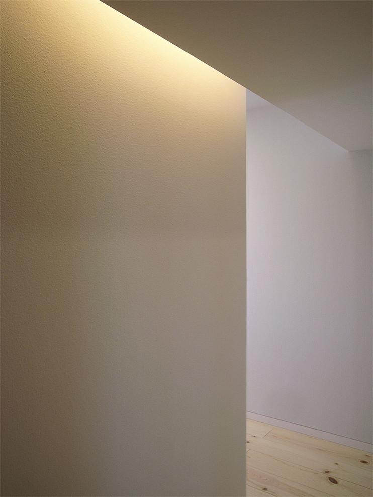Modelo de hall minimalista con paredes blancas y suelo de madera clara