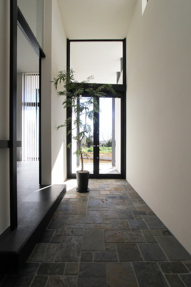 Cette image montre une grande entrée minimaliste avec un couloir, un mur blanc, sol en granite, une porte double et une porte noire.