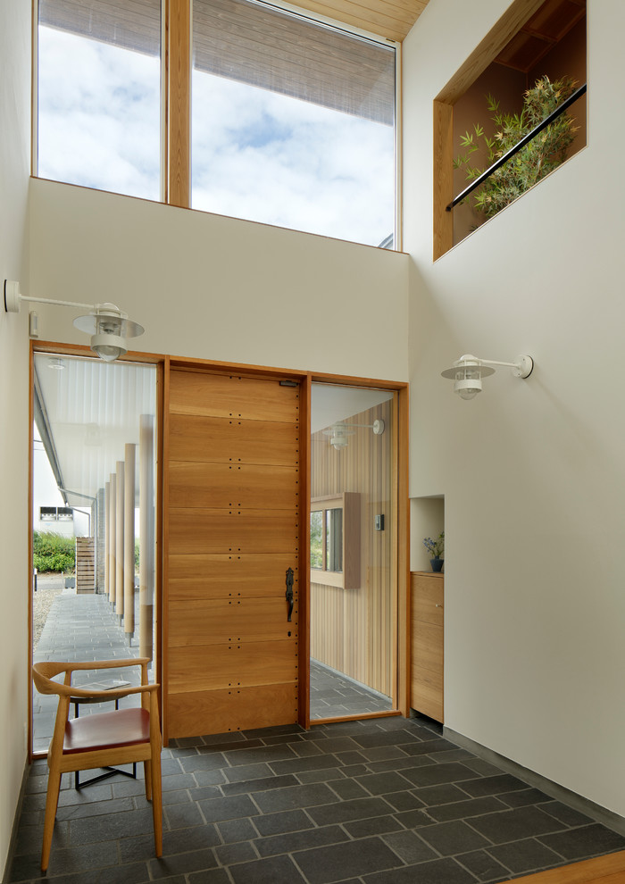 Стильный дизайн: узкая прихожая в современном стиле с белыми стенами, одностворчатой входной дверью, входной дверью из дерева среднего тона и черным полом - последний тренд