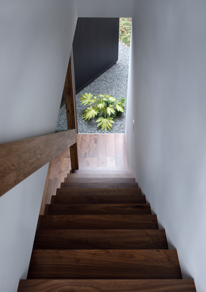 На фото: прямая деревянная лестница среднего размера в современном стиле с деревянными ступенями, деревянными перилами и обоями на стенах