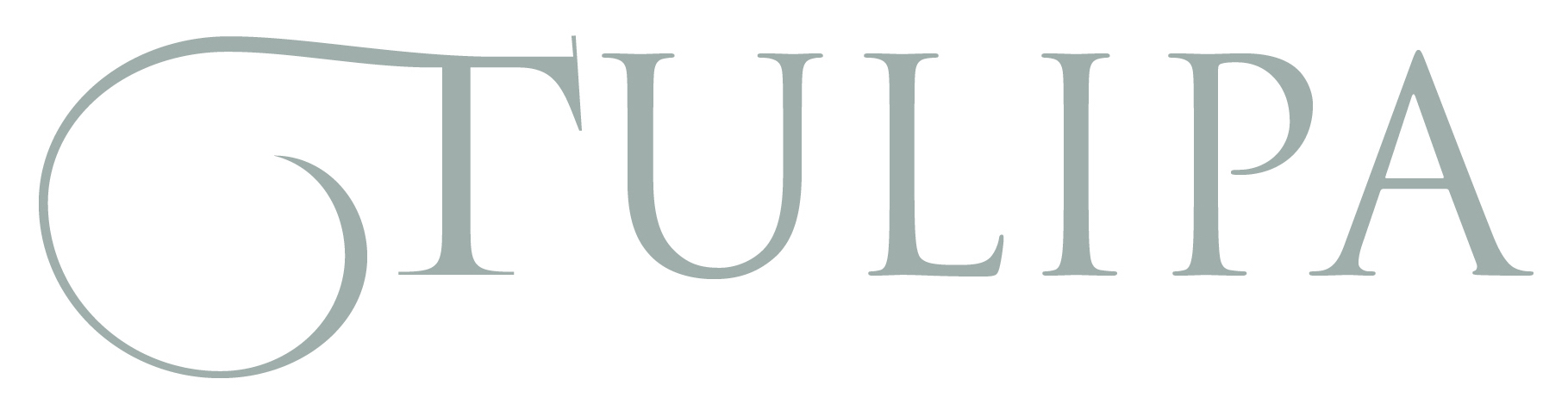 Tulipa logo