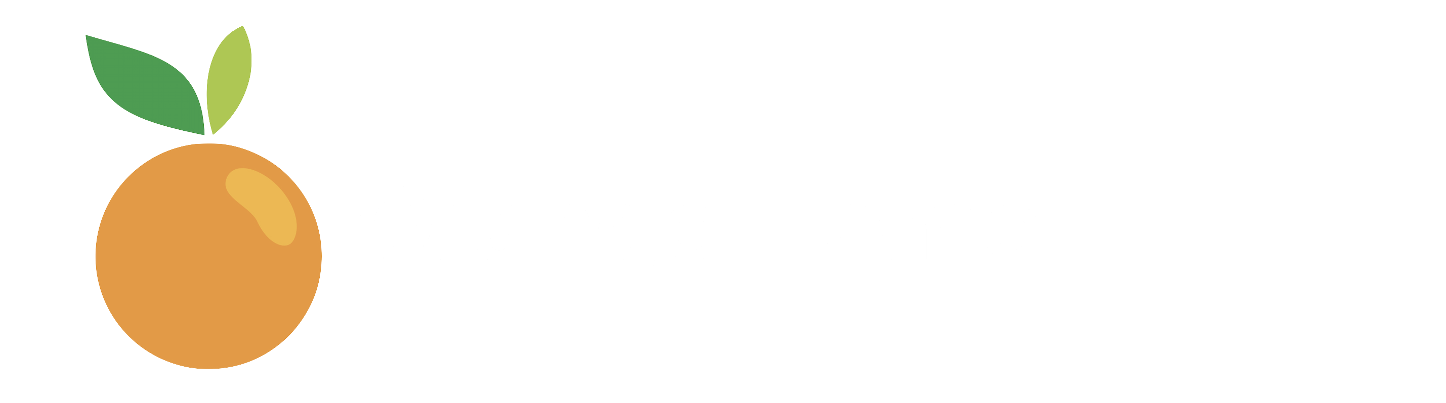 Orange Home Design + Renovation