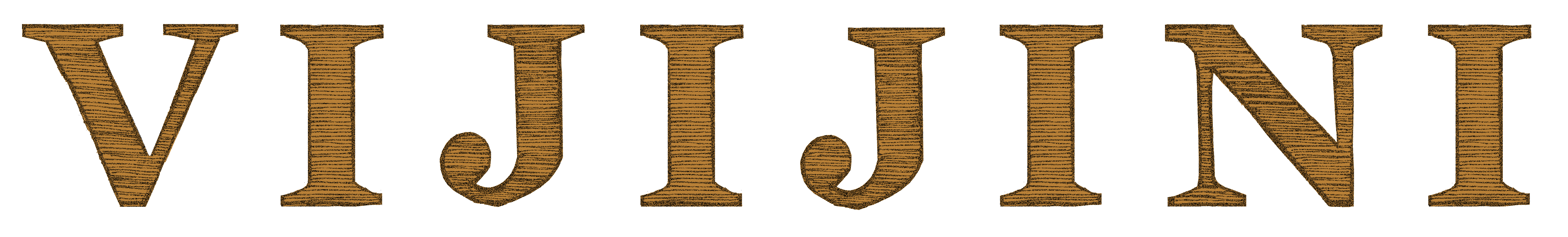 Logo Vijijini 
