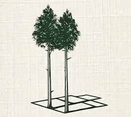 Lanphear Landscaping & Stone LLC