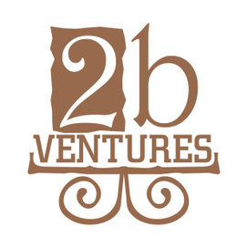 2b VENTURES logo