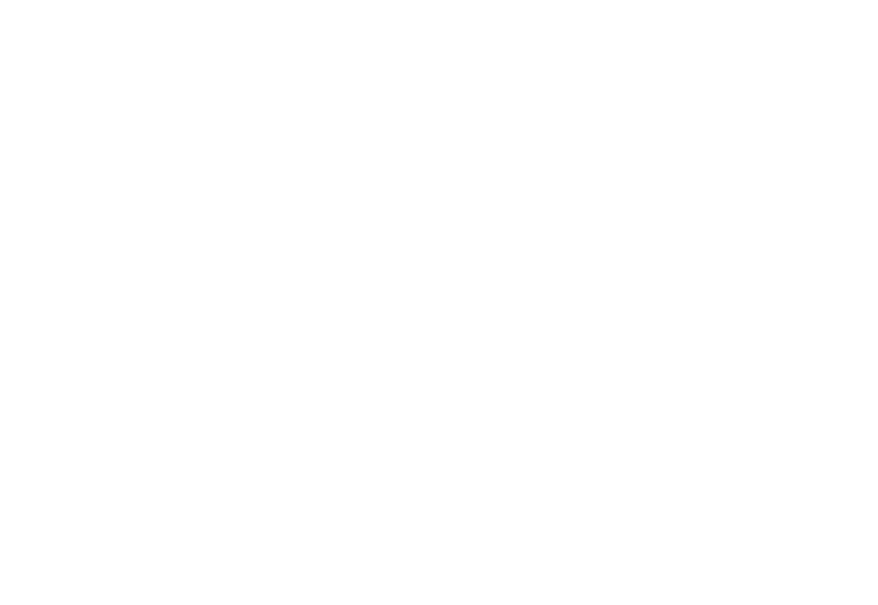 WALO SOUTH, LLC logo