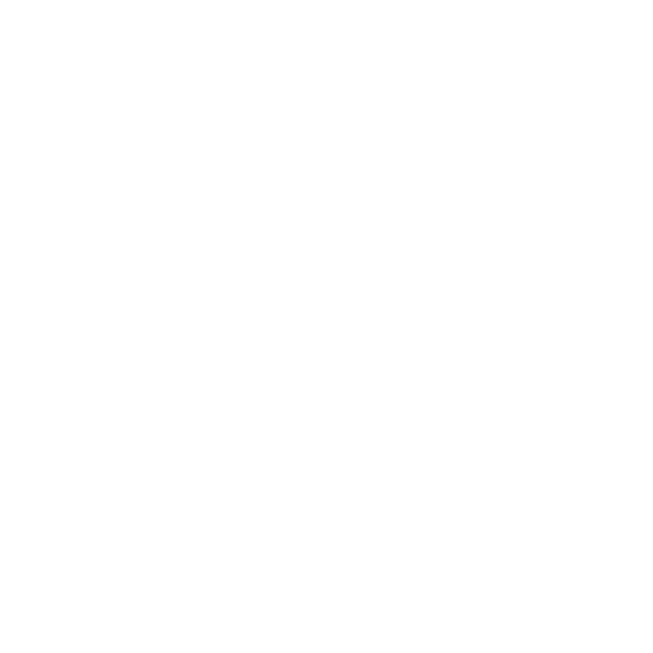 WN Construction logo