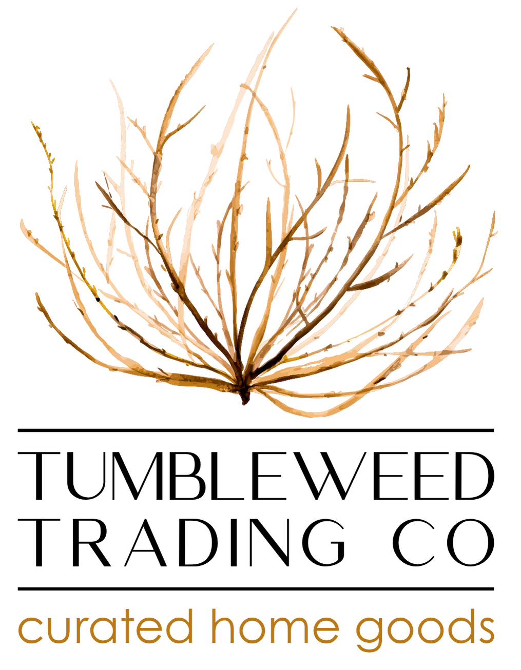 HighDesert LifeStyled logo