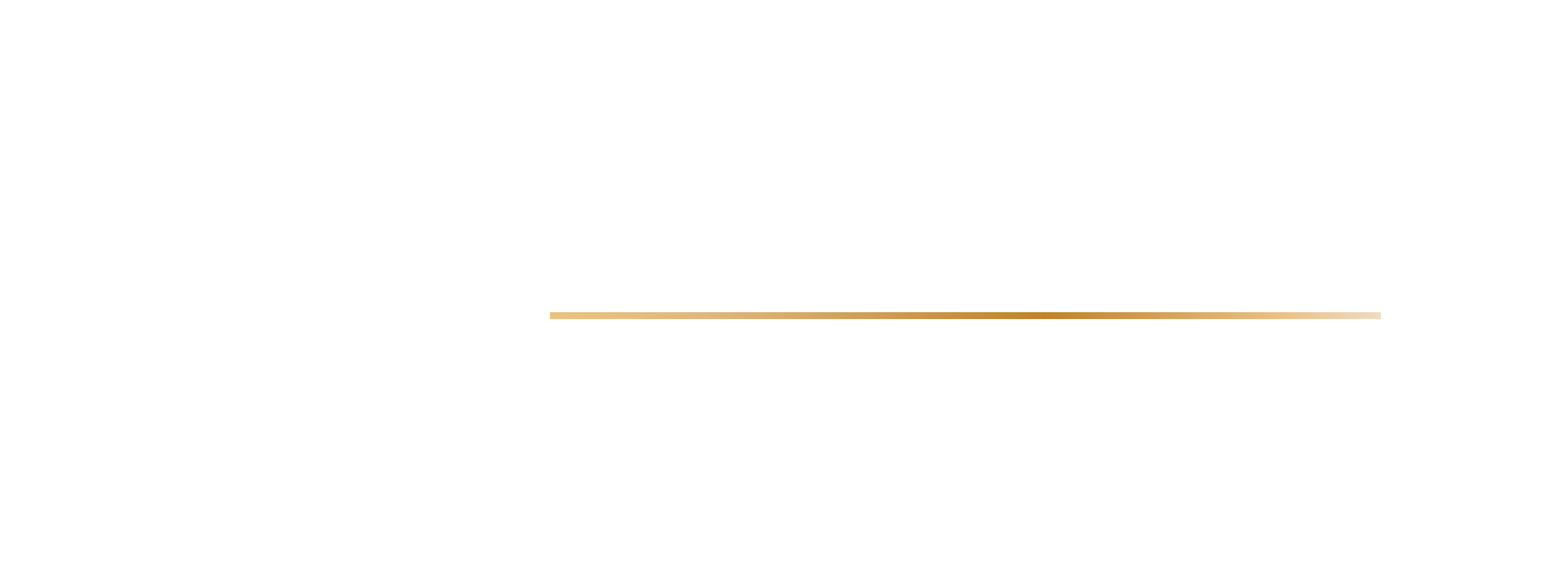Vanguard Renovations logo