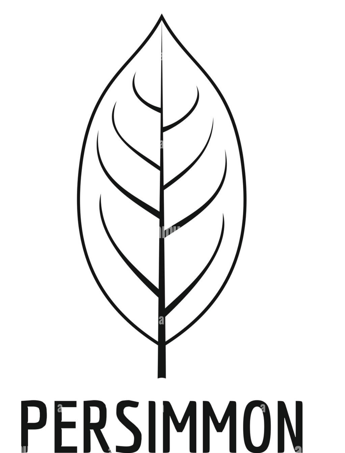 The Persimmon Company logo